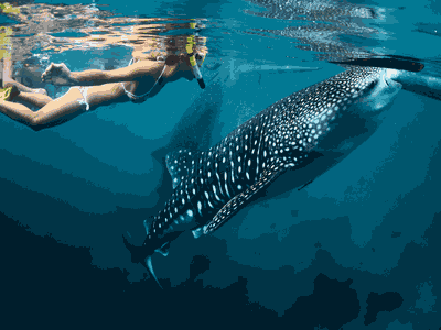 South Cebu Tour