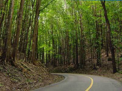 BOHOL COUNTRYSIDE TOUR (DT - P10) 1